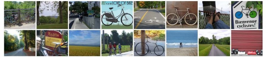 for the love of cycling